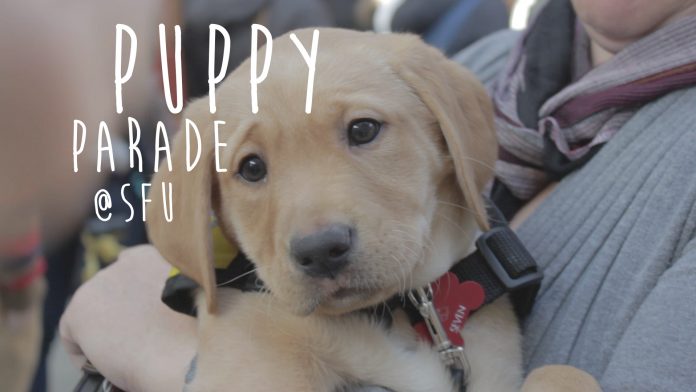 Screen shot 2014-11-14 at 7.04.18 PM