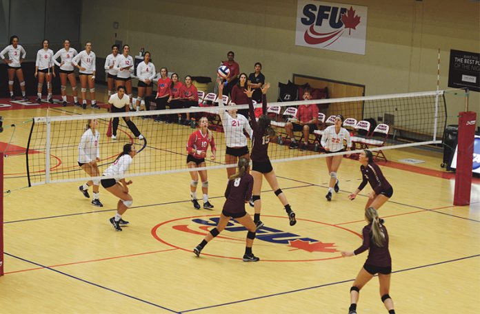 Web-Volleyball-Lisa Dimyadi
