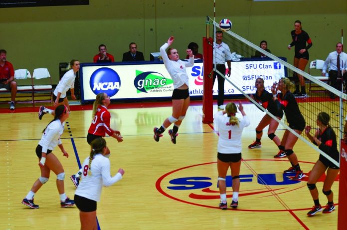 WEB-Volleyball-Austin-Cozicar-916x607