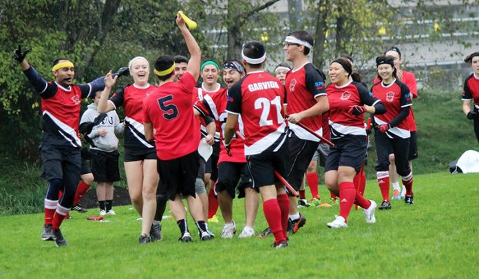 Web-Quidditich-Danny Ly