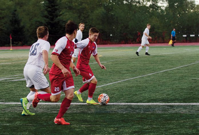 Web-Soccer-Lisa Dimyadi