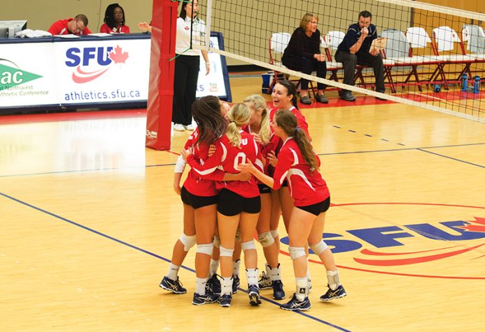 Web-Volleyball-Lisa Dimyadi