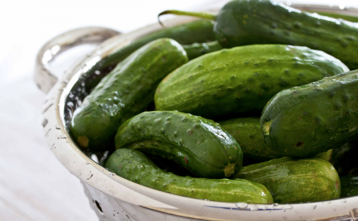 Screen Shot 2015-11-13 at 7.09.53 PM