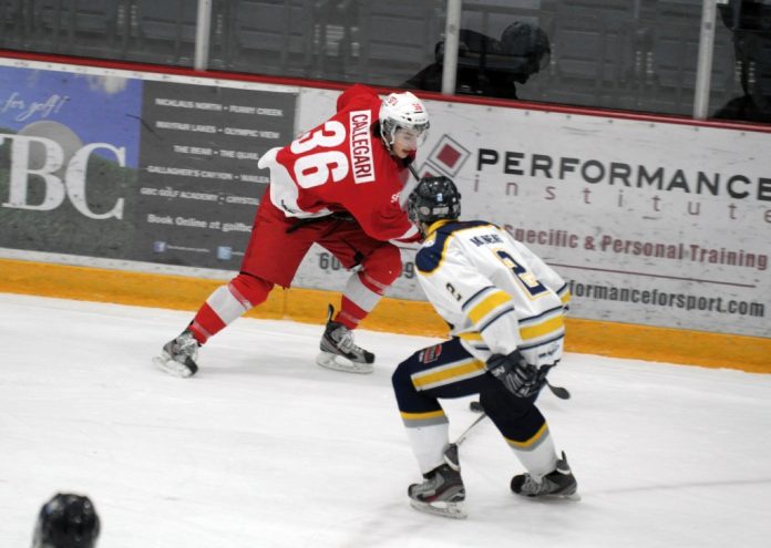 CMYK-Hockey-Lisa-Dimyadi-1024x729