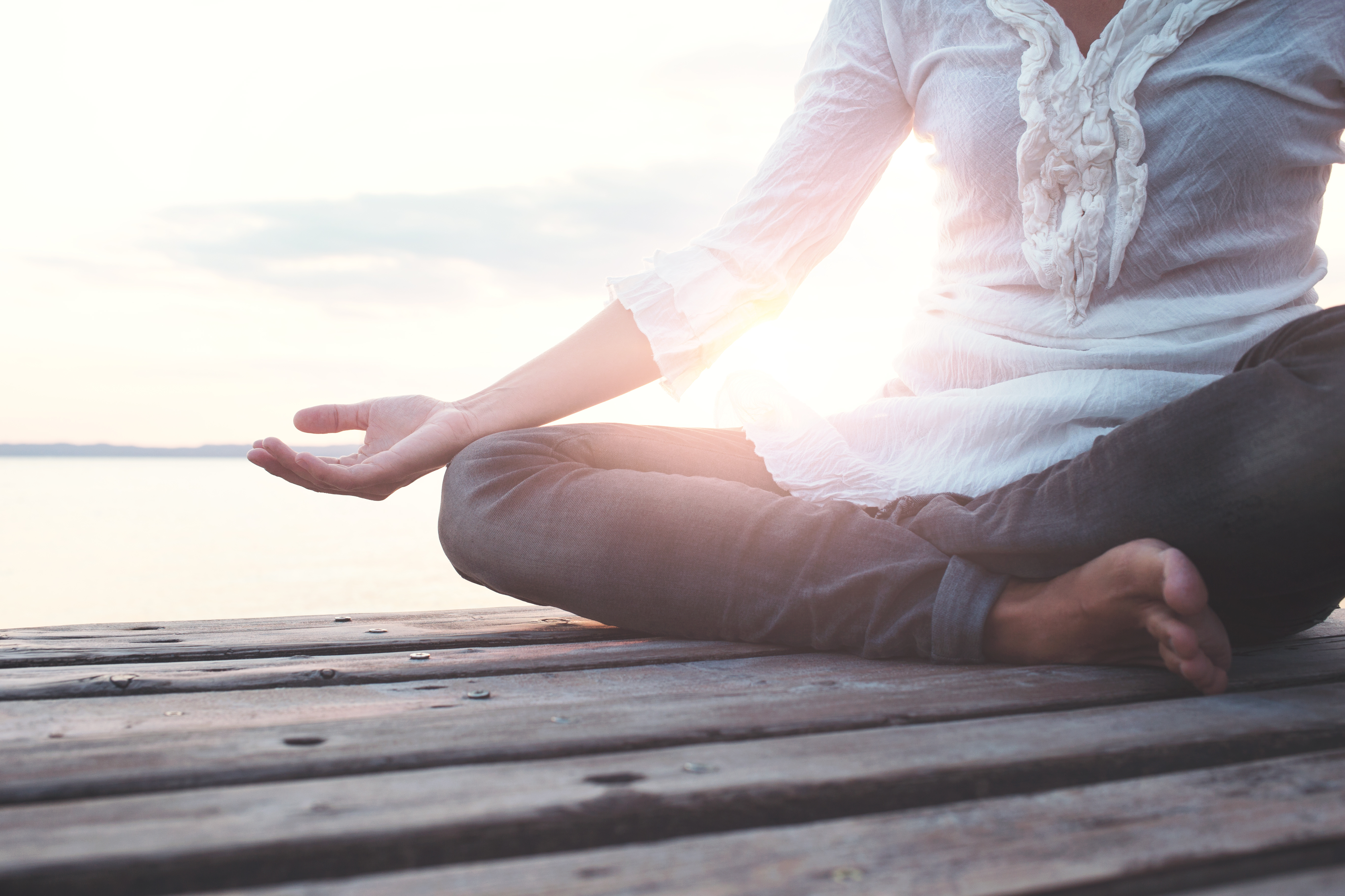 Excerpt from 'Why We Meditate' — Harvard Gazette