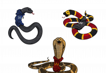 The deadly, deadlier, and deadliest snakes at SFU