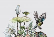 SFU symbiosis in all its forms