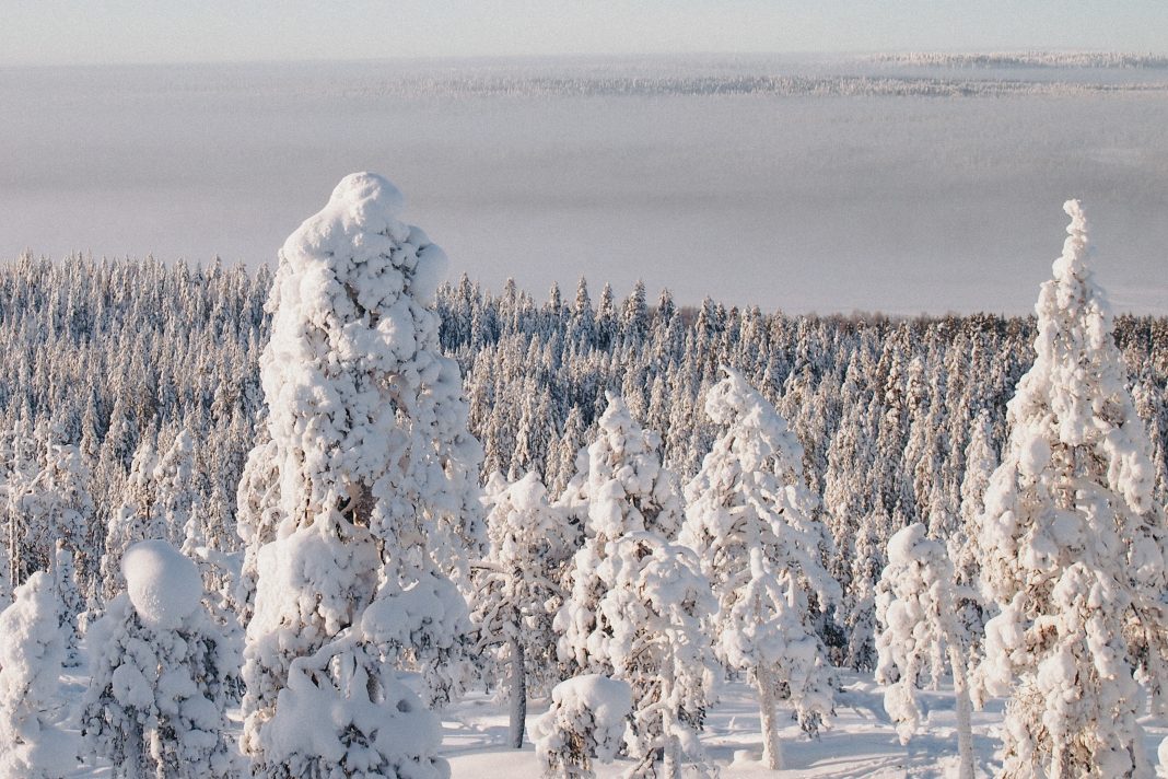 imgonline-com-ua-CompressToSize-HQK3Wzw3uOse103