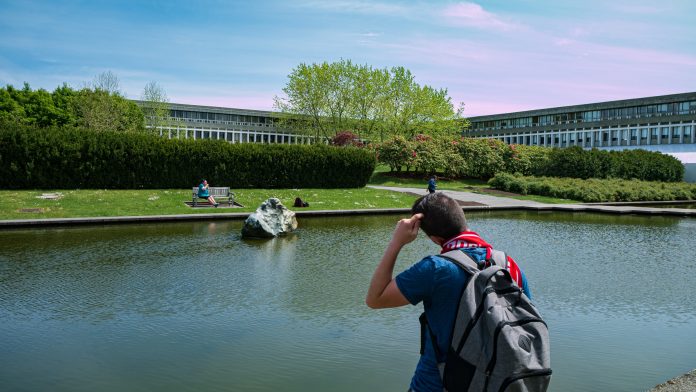FEATURES_AQ_Pond_Rock_PatrickKlosowski_WEB