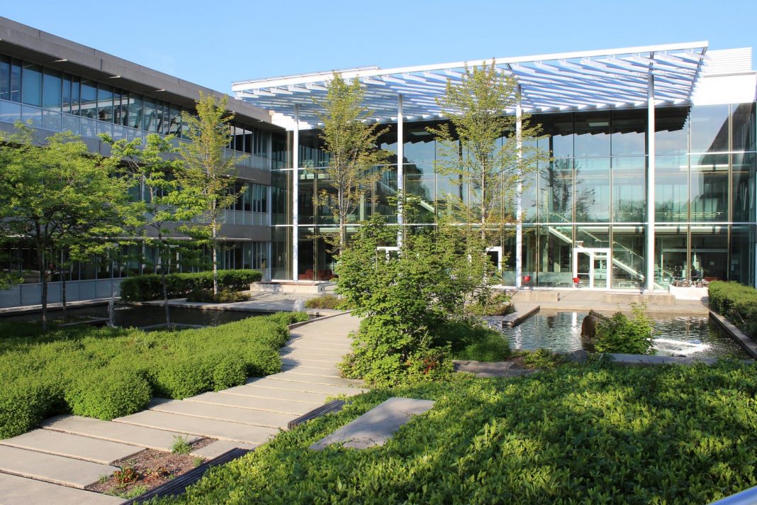 Ranking Outdoor Study Spaces The Peak