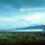 Icelandic film showcase, Wayward Heroes, opens with a geriatric love story and a Nordic noir