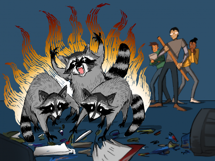 DanielleRagas_racoons are problems not pets