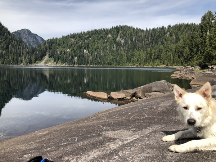 W9 - SPORTS - Widgeon Lake Lenny