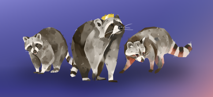 raccoon composite