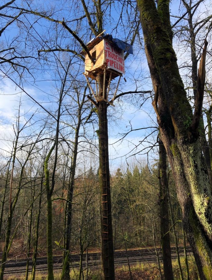 A treehouse high up with poster on right hand side. Red words on poster: "Stop Trudeau's Pipeline"