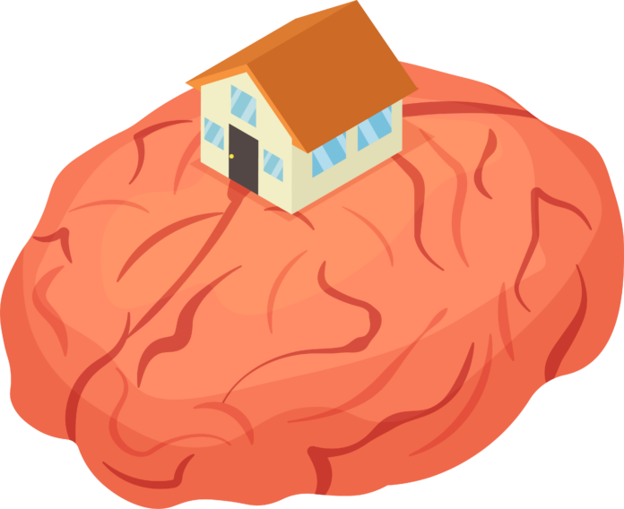 AlyssaUmbal_BrainOnHouse