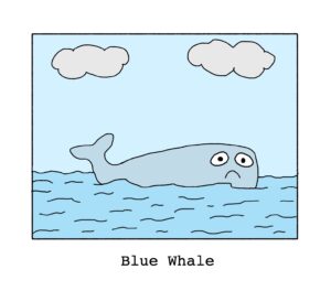 a whale frowning captioned "blue whale"