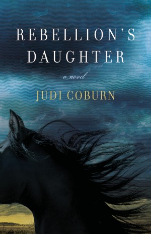 Book cover of a stormy blue sky against a closeup of a black horse's windswept mane