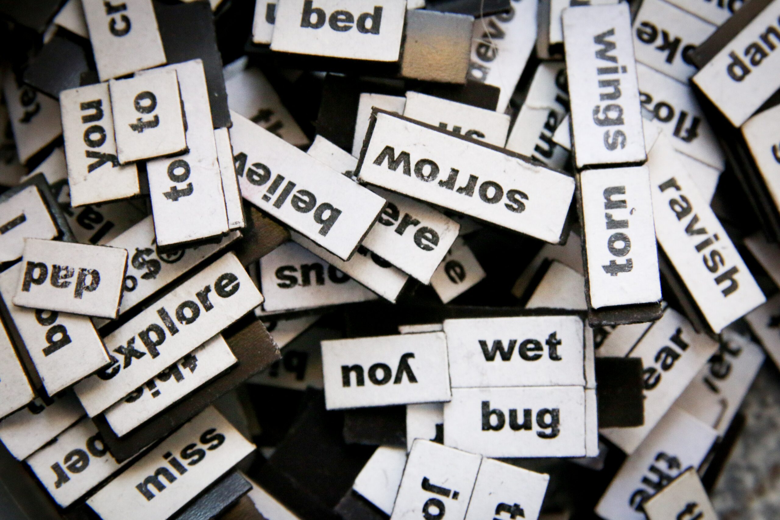 A collection of fridge magnets fill the photo. They have words printed on them. Some of the most visible ones are: wet, bug, explore, sorrow, torn, bed, wings, miss.