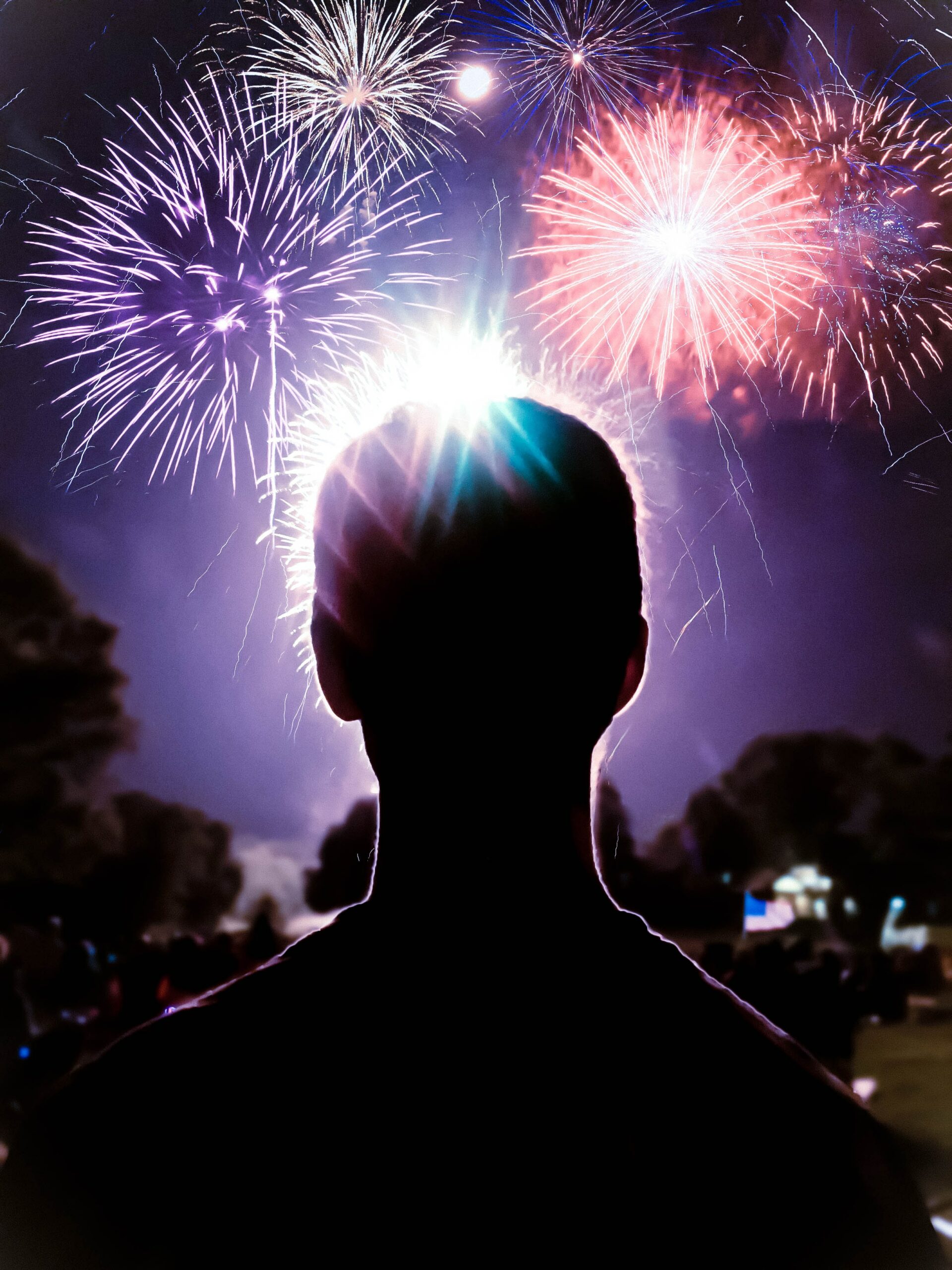 The silhouette of a body. Above their head: fireworks. below: tree silhouettes against the night sky