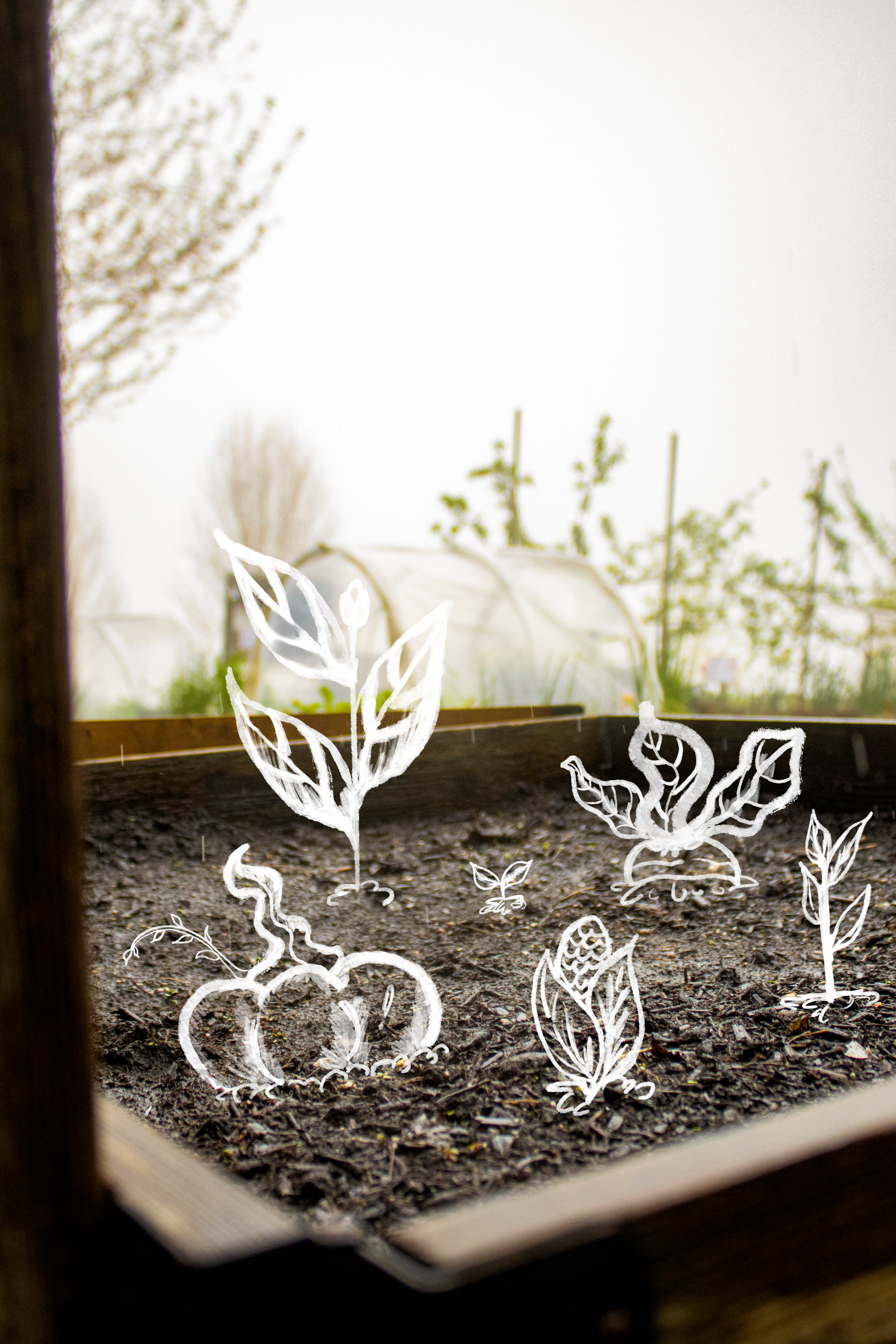 Photo of garden bed filled with soil with white illustrations of plants sprouting out of it