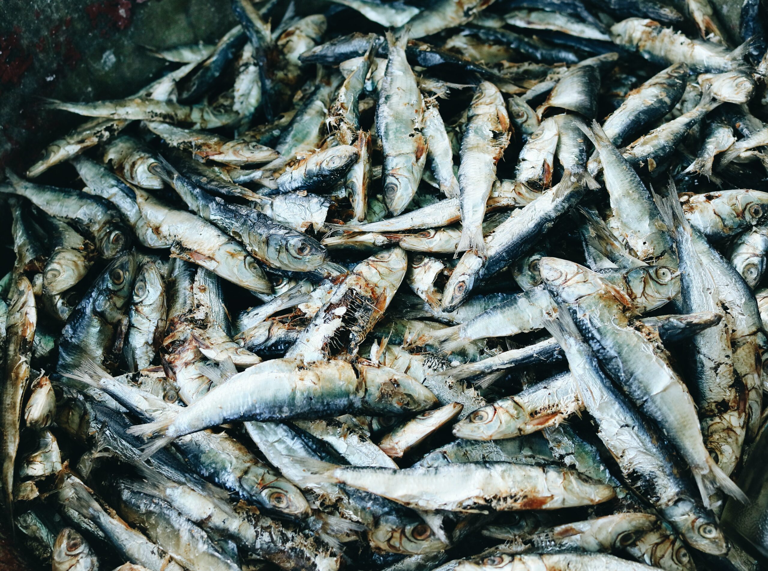Birds-eye view of a pile of dried fish