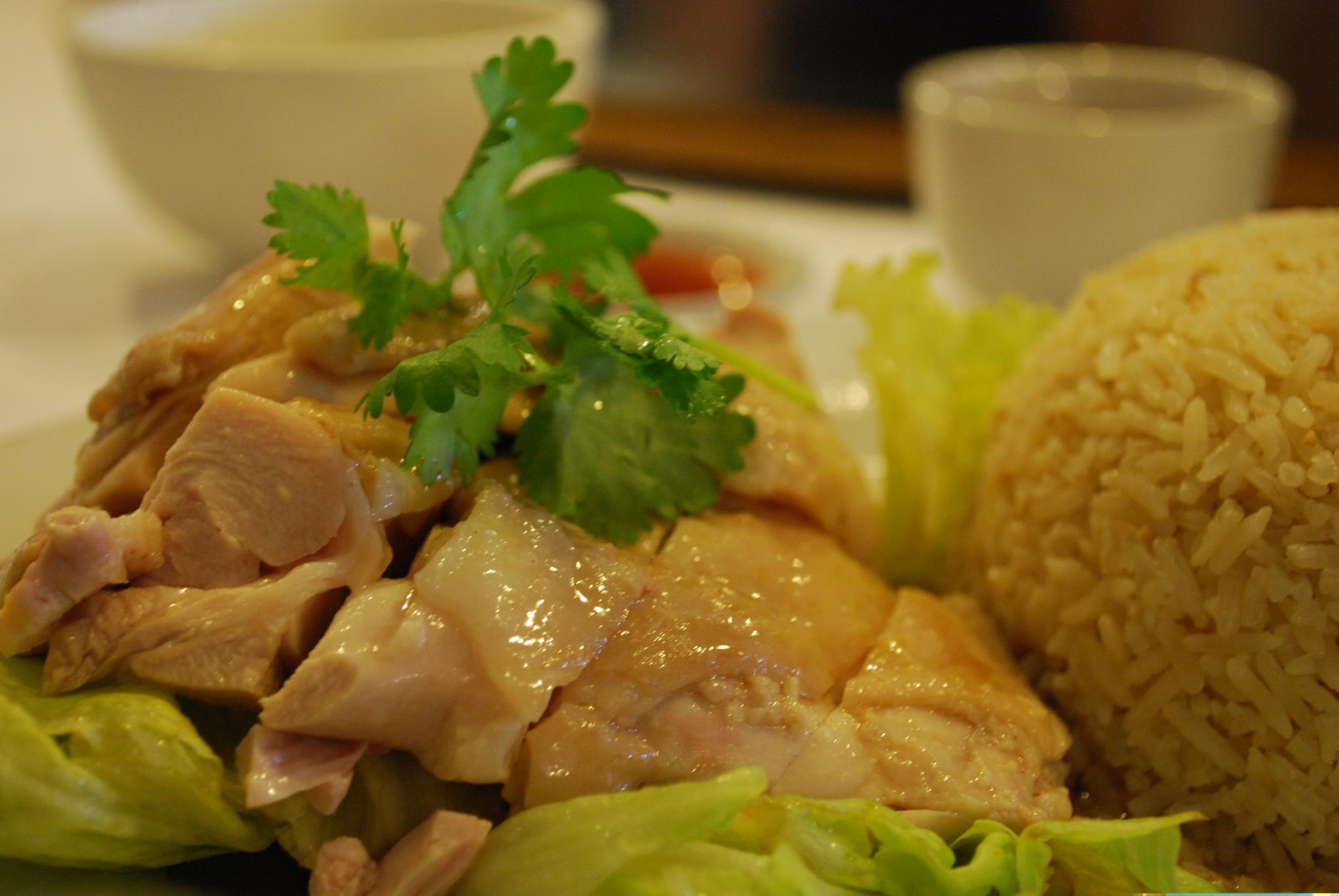 Sliced chicken rests on top of lettuce, beside a dome-shaped scoop of yellow rice