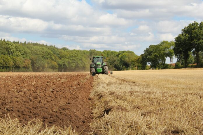 A tractor is seen tilling a field. One half of the field is dry-looking dirt and the other half is yellow grain. There are large trees surrounding the field.