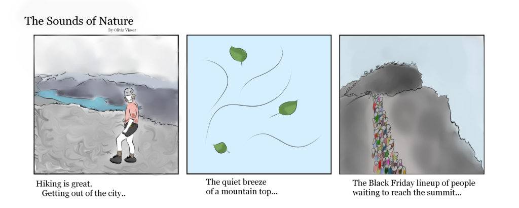 Panel 1: A person stands on a grey rocky mountaintop overlooking a mountainous lake. Beneath the panel is text that reads "Hiking is great. Getting out of the city..." Panel 2: Three green leaves are seen atop a blue sky, indicating a breeze. Beneath the panel reads "The quiet breeze of a mountain top..." Panel 3: A large crowd of people trails from the bottom to the top of a grey rocky mountain, seen from behind. The text beneath reads "The Black Friday lineup of people waiting to reach the summit..."