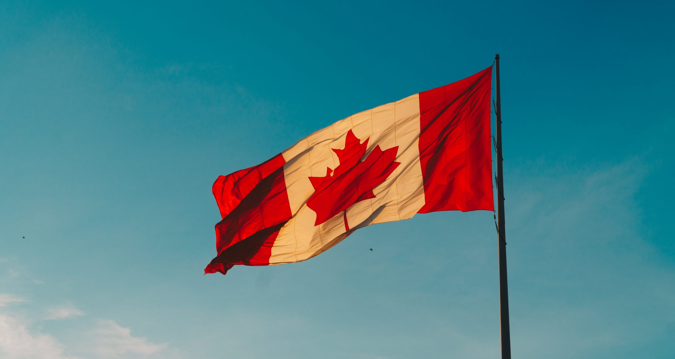 A Canadian flag flying against a blue sky