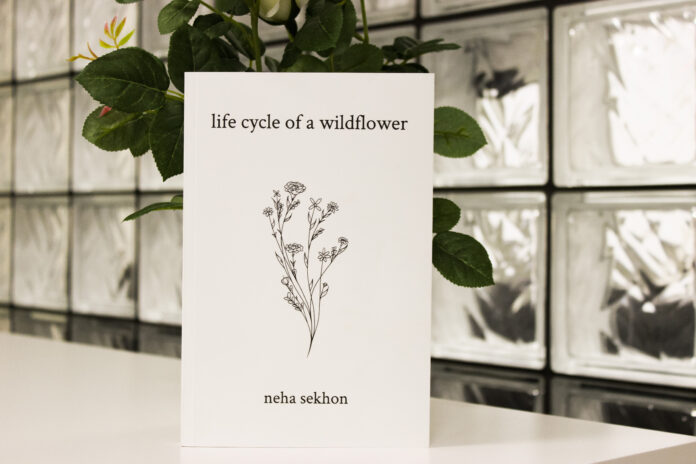 life_cycle_of_a_wildflower Life of a wildflower photographed with a plant and a glass tiled wall in the background