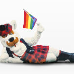 McFogg the Dog is actually a queer icon Photo of McFogg lying sideways, looking at the camera, holding a rainbow flag
