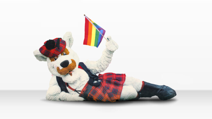 Photo of McFogg lying sideways, looking at the camera, holding a rainbow flag