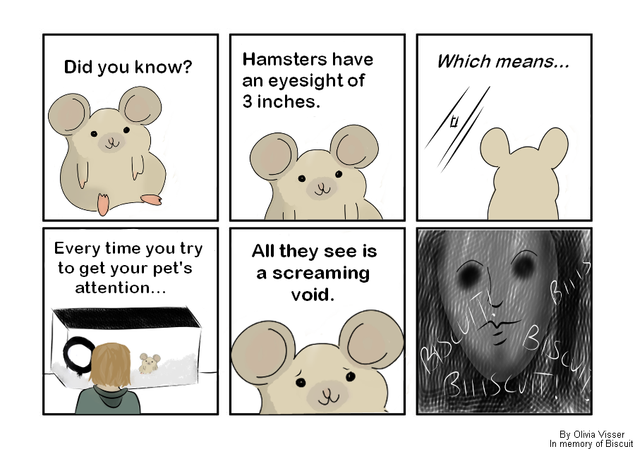 Panel 1: a round cream-coloured hamster with large ears sits in frame. "DID YOU KNOW" in big letters sits above it. Panel 2: The same hamster sits lower on the screen, with the text above reading "Hamsters have an eyesight of 3 inches" Panel 3: The hamster is seen from behind, looking out from behind glass. Above its head reads "which means..." Panel 4: A person with blonde medium length hair is seen from behind, looking at a glass tank with the hamster inside. "Whenever you try to get their attention..." is written above. Panel 5: The hamster's face is seen close up, with concerned looking eyebrows. The text reads "all they see is a screaming void". Panel 6: A sinister looking blurred grey face is seen amid a swirling black background. In the foreground is white text that reads "BISCUIT! BIIISCUIT! BIIISCUIT!