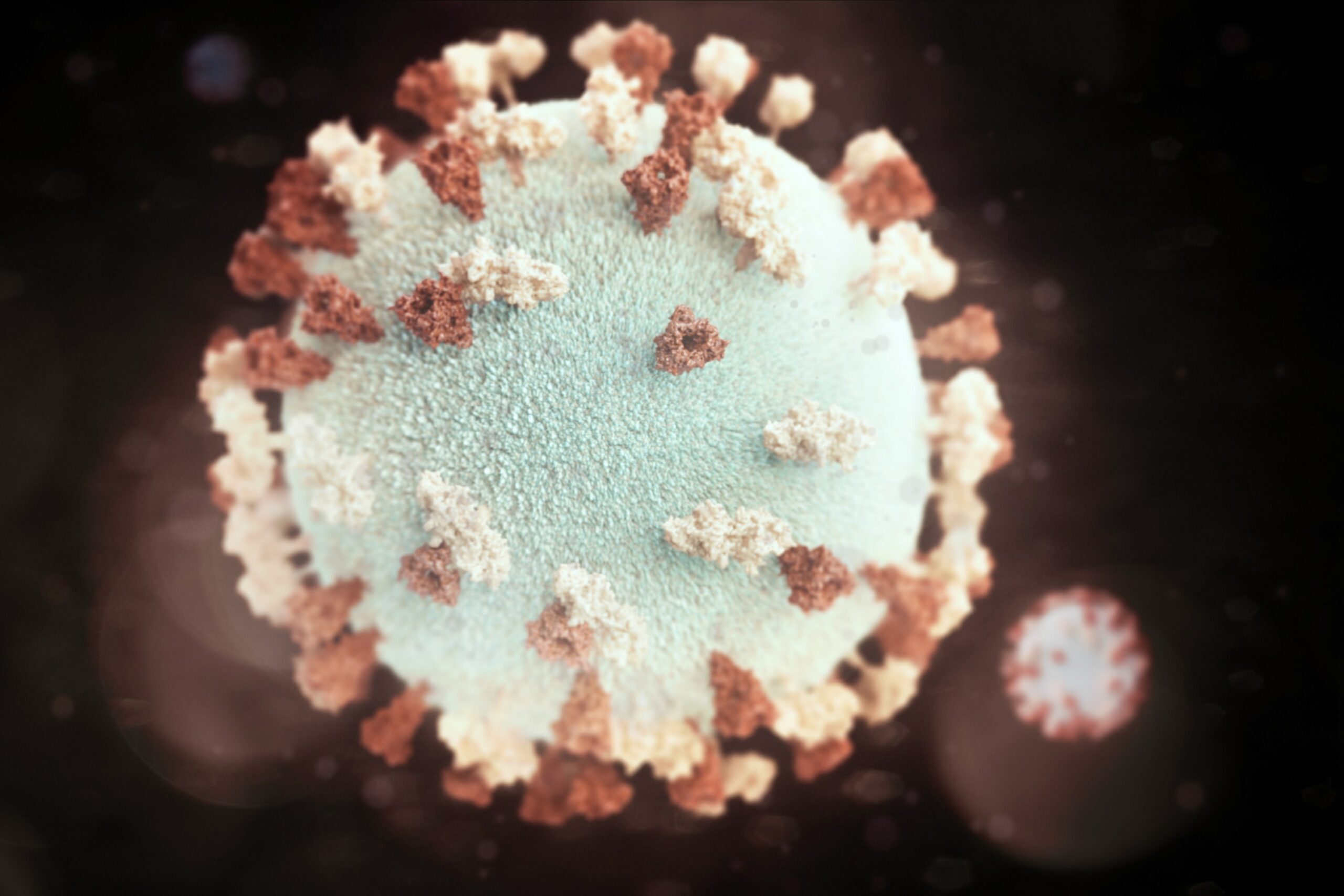 A close-up 3D representation of a round, fluffy virus particle.