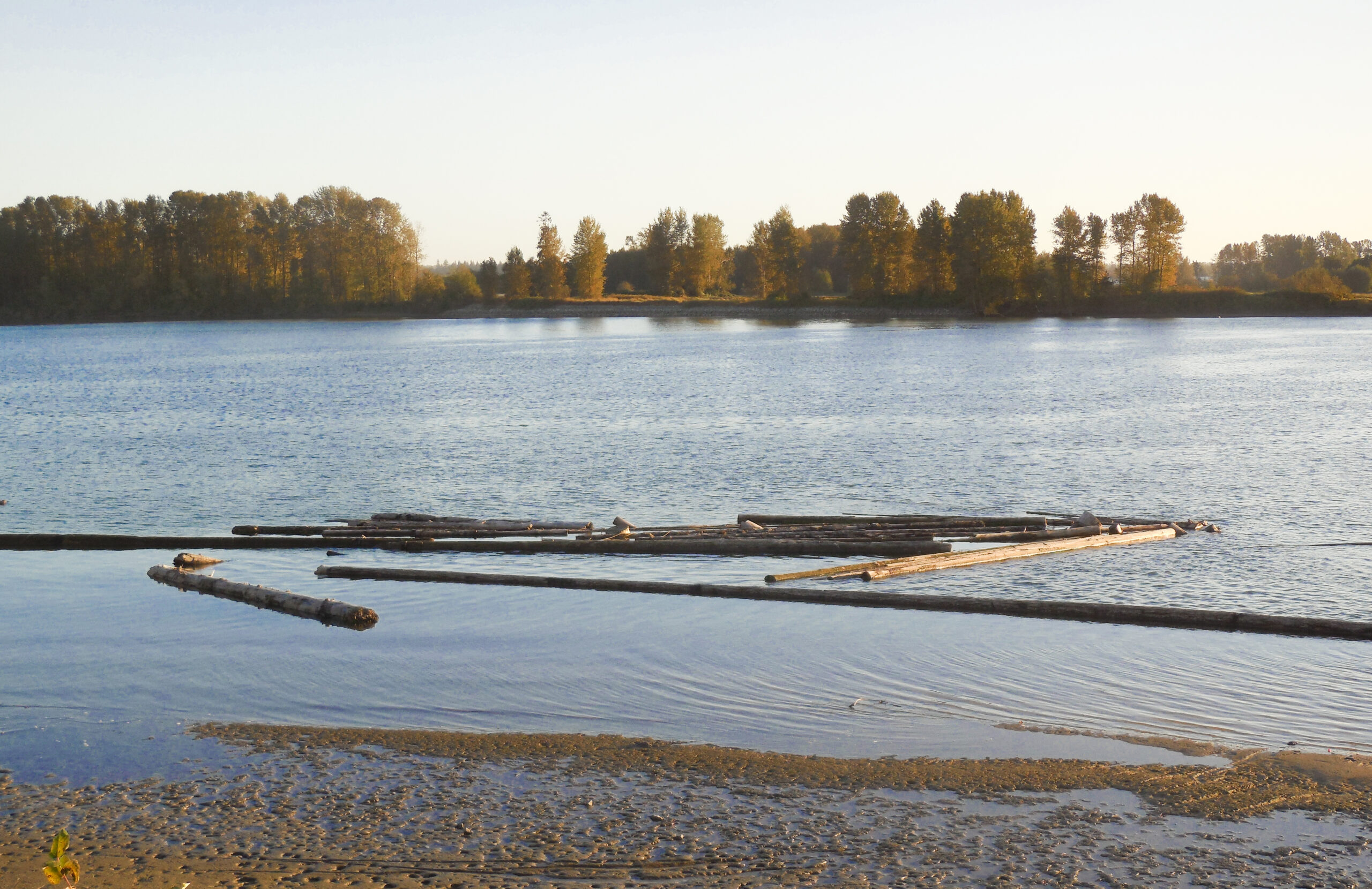 This photo is of a small body of running water. The land surrounding the river is covered in trees.