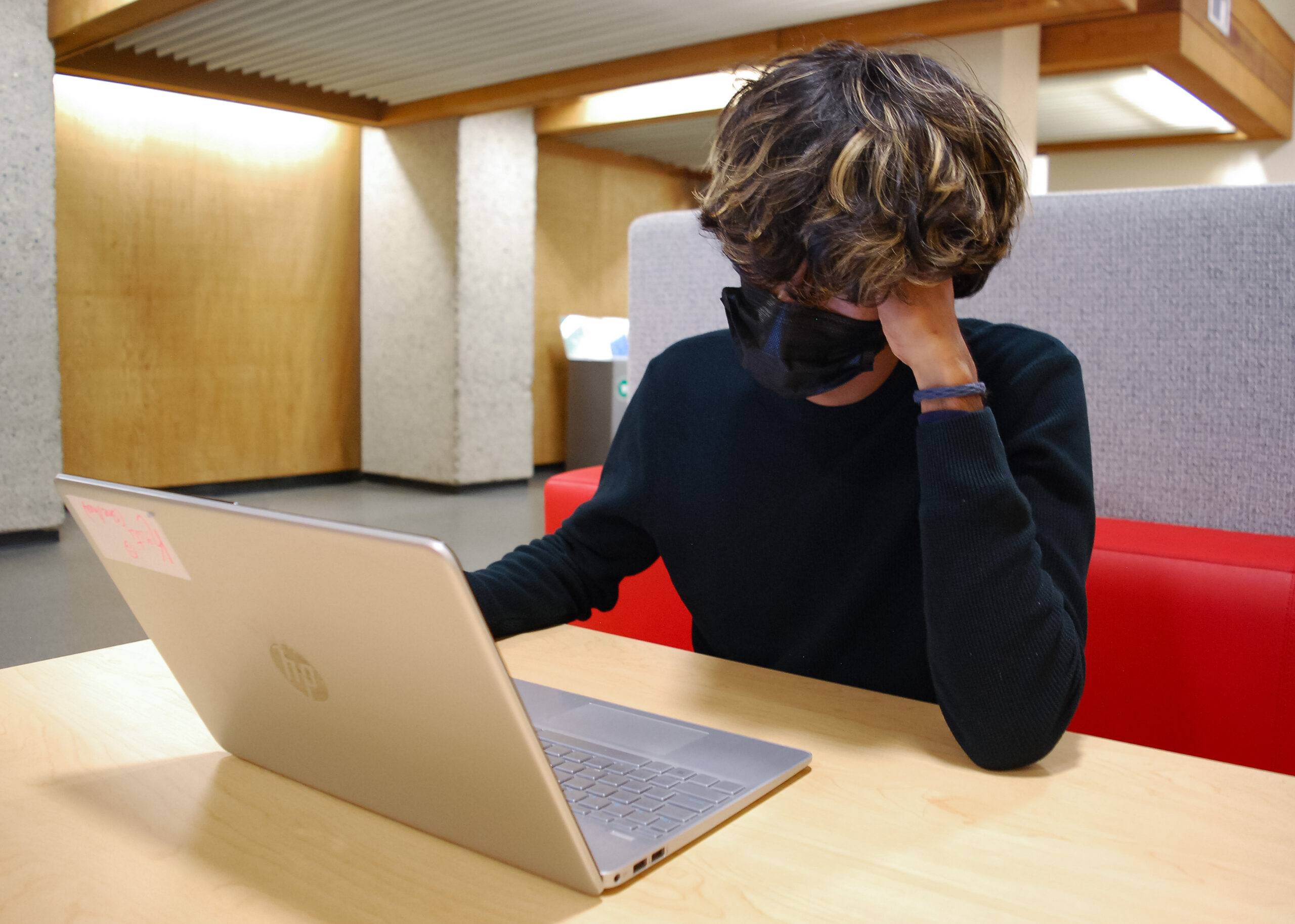 This photo is of a student who is looking at their computer screen. Their head is resting on their hand and they look sad and down.