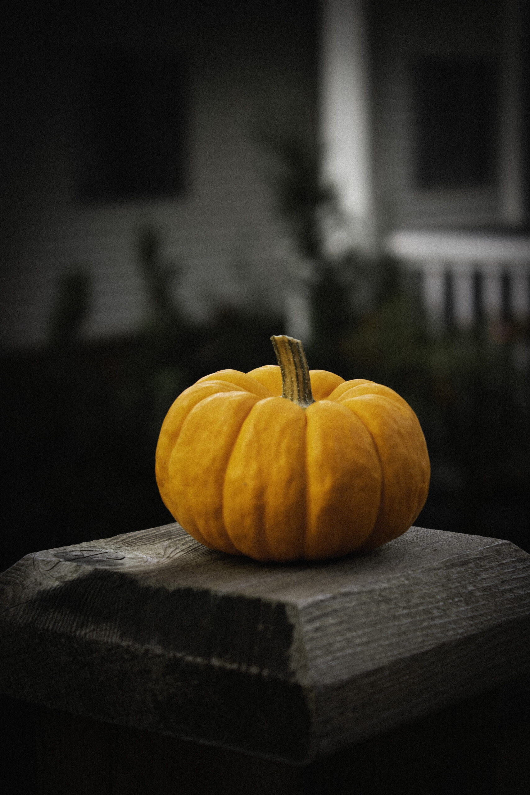 close up view of a pumpkin on a fence