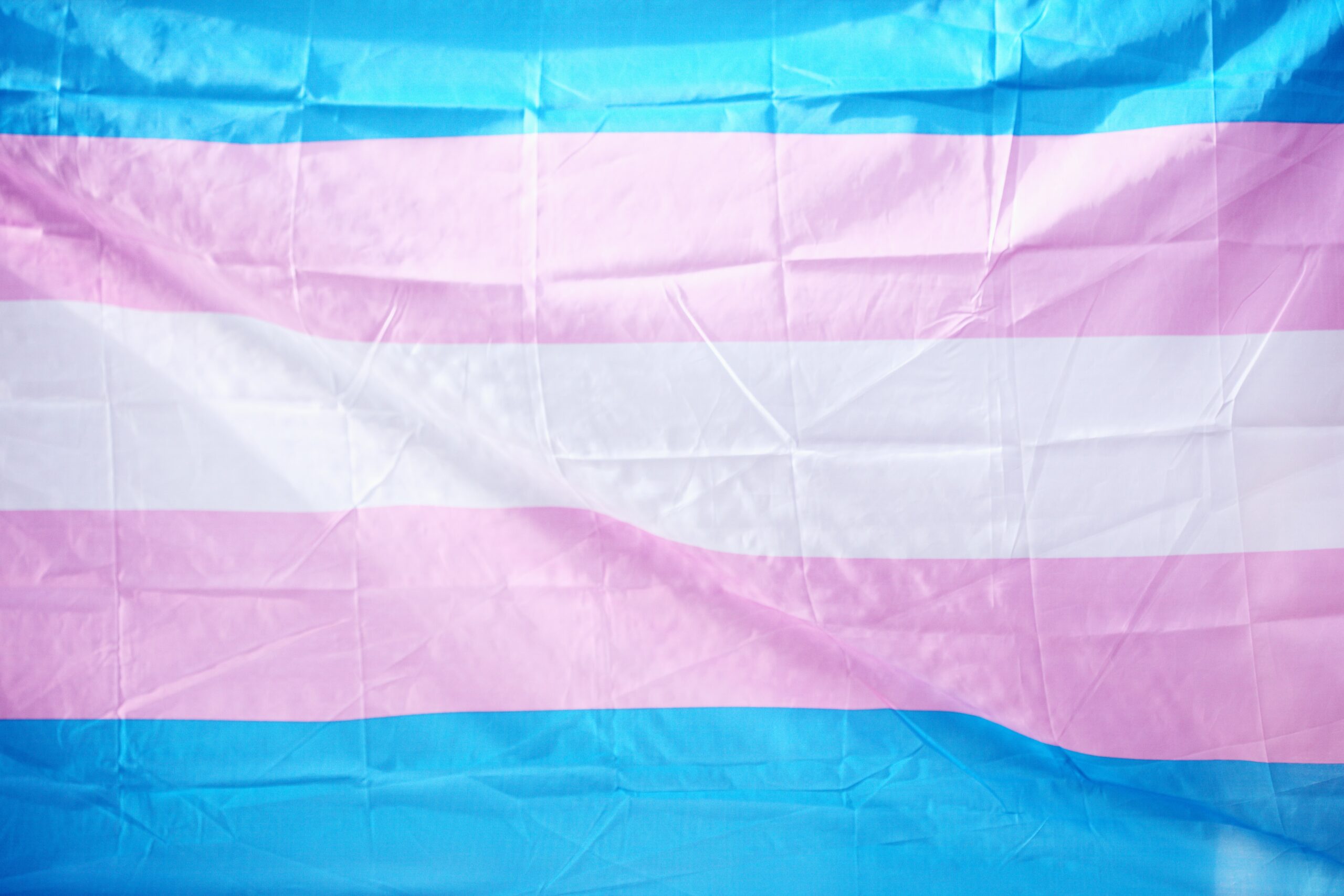 Photo of a Trans Flag, with blue, pink and white stripes.