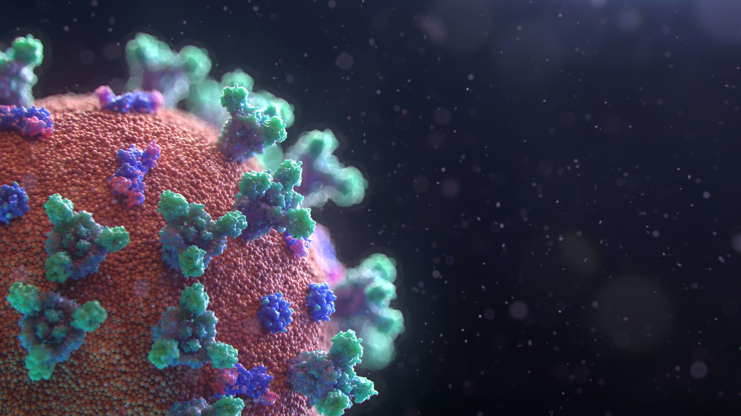 Animation of a the COVID-19 virus.