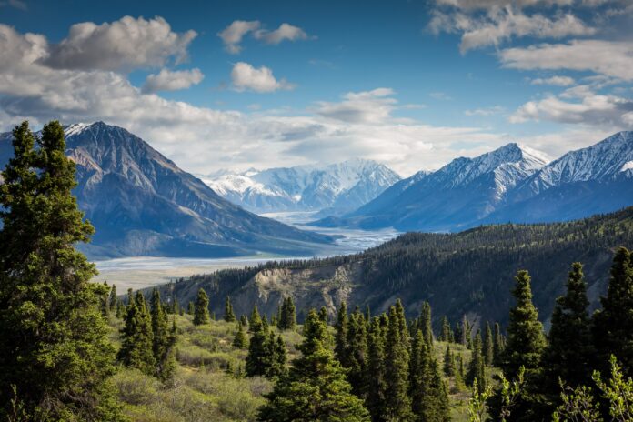 This is an aerial photo of Canadian forest and mountains.