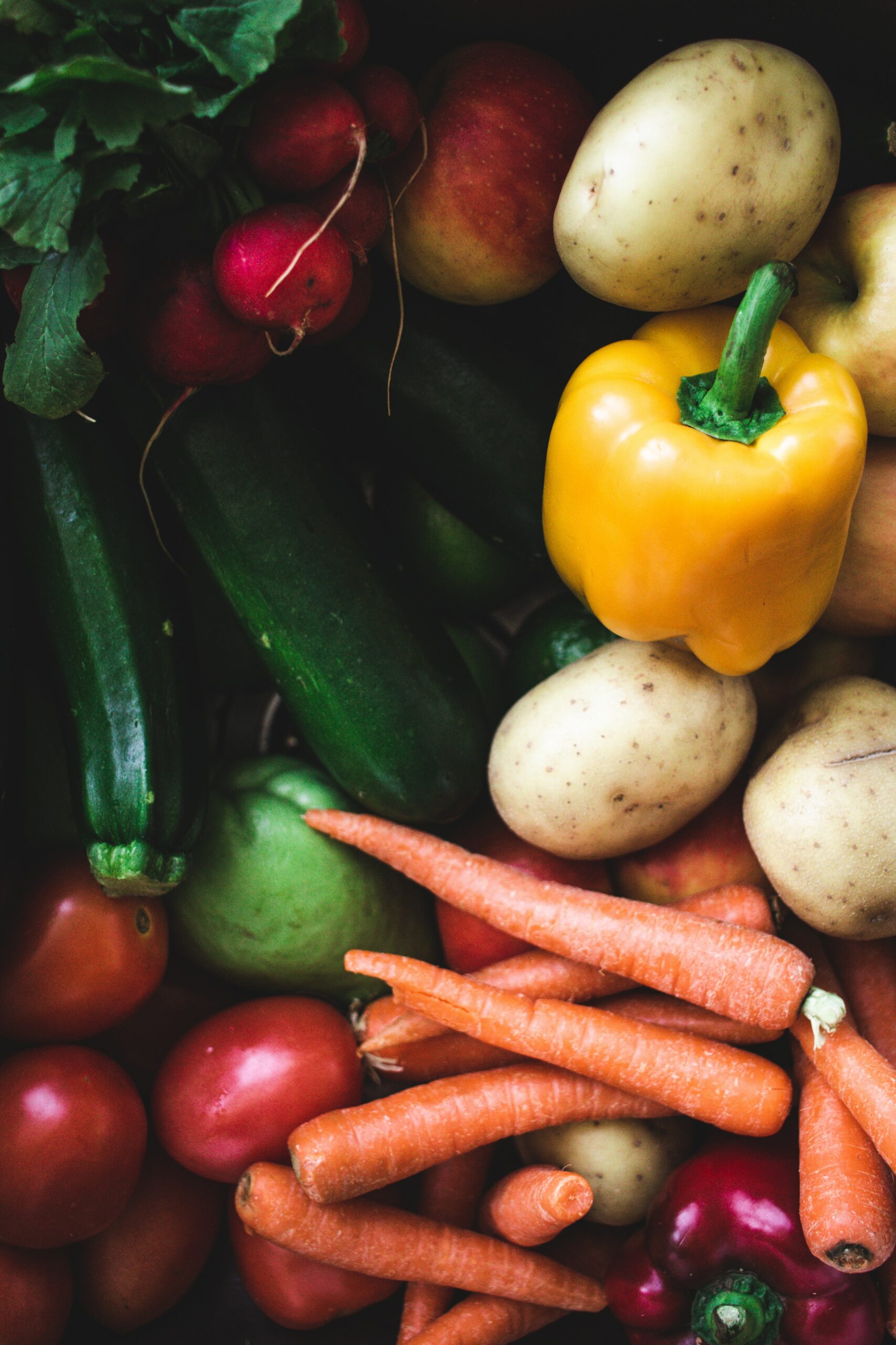 Photo of a variety of vegetebles, including carrots, peppers, cuccumbers