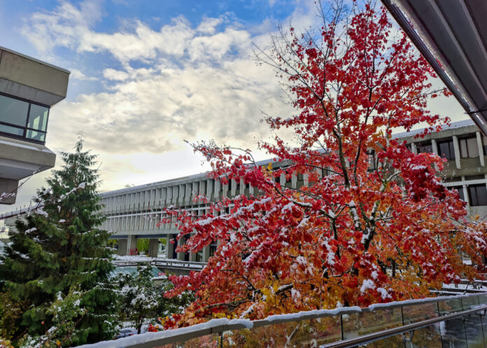 Snow covering SFU