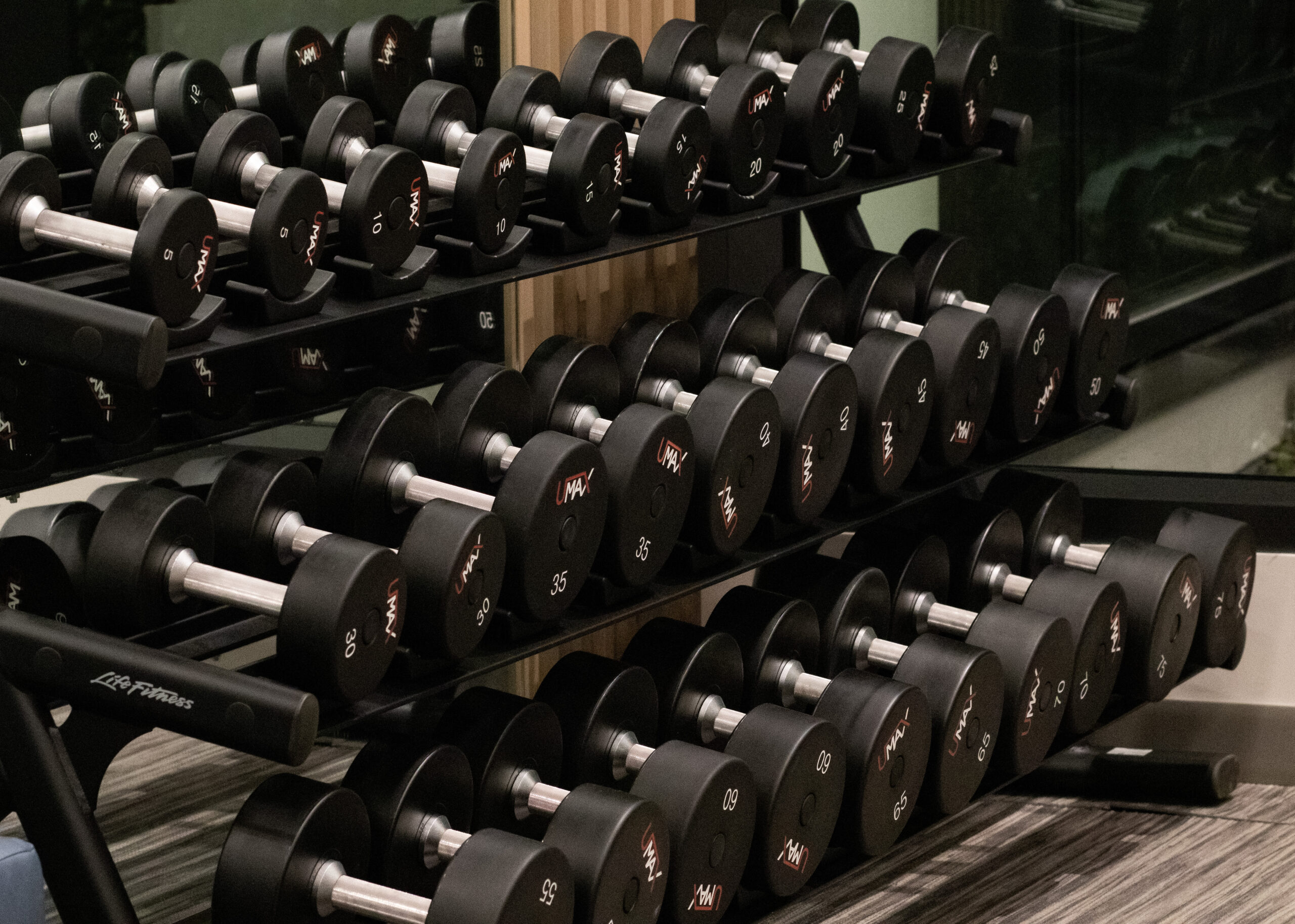 a rack of large dumbbells in a gym