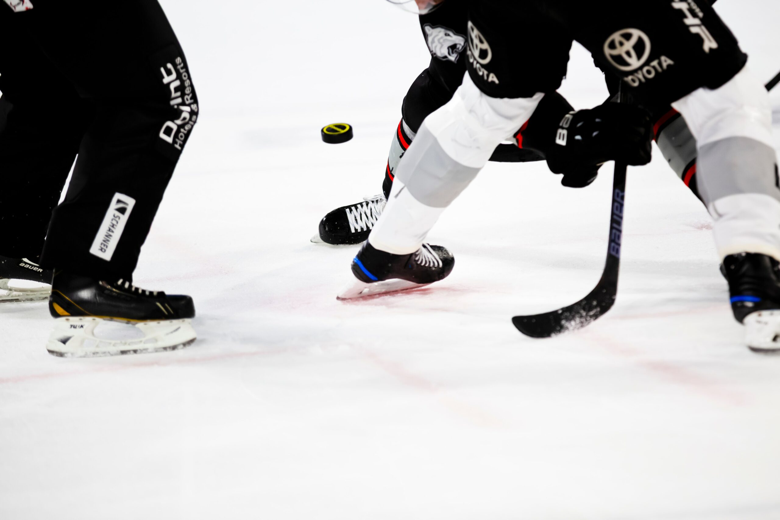 photo of two players taking a faceoff.