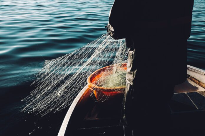 someone pulling in a fishing net on a boat