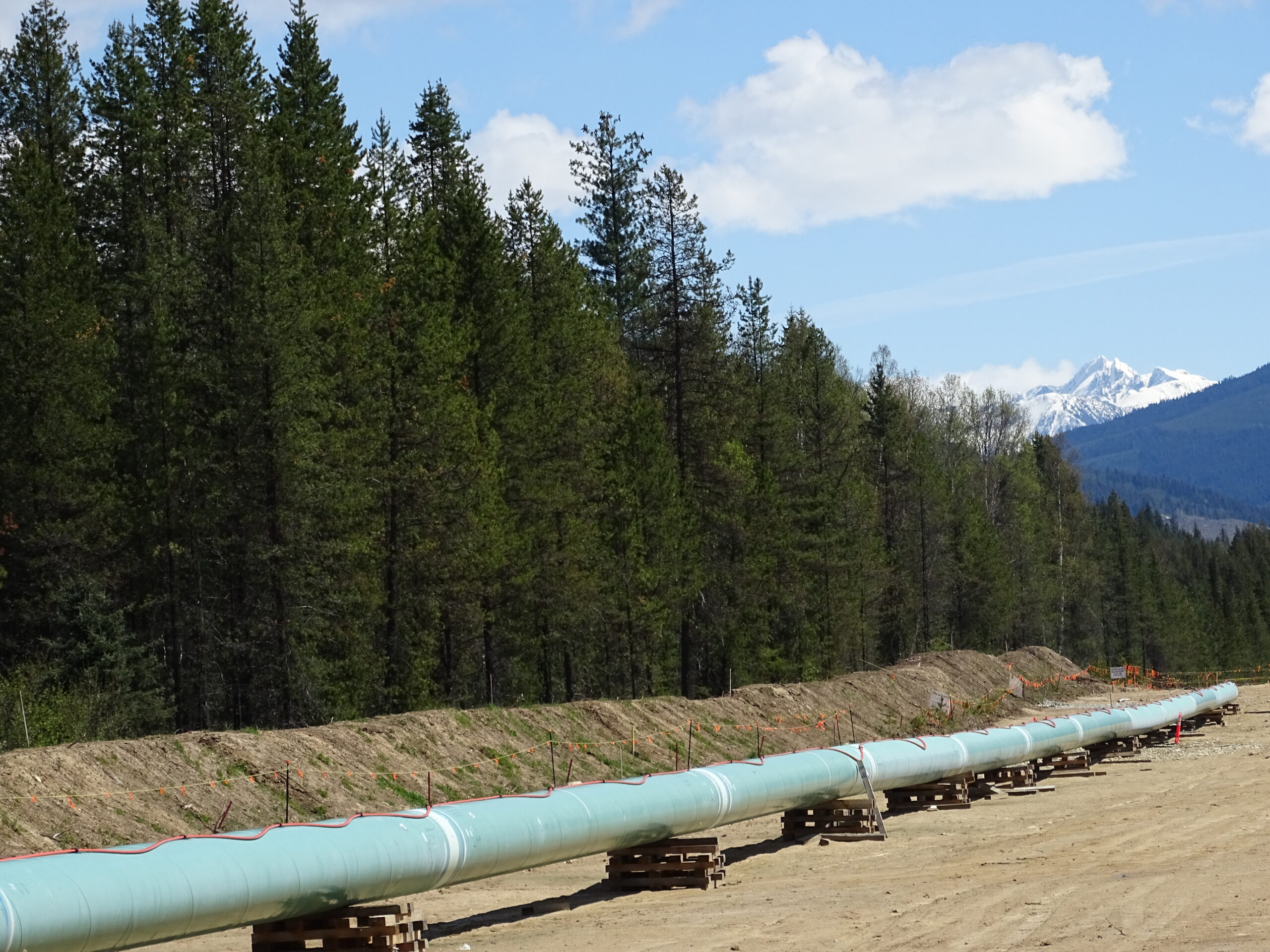 This is a photo of a TMX pipeline construction site. The pipeline is sitting in a trench. There are trees and mountains behind the pipeline.