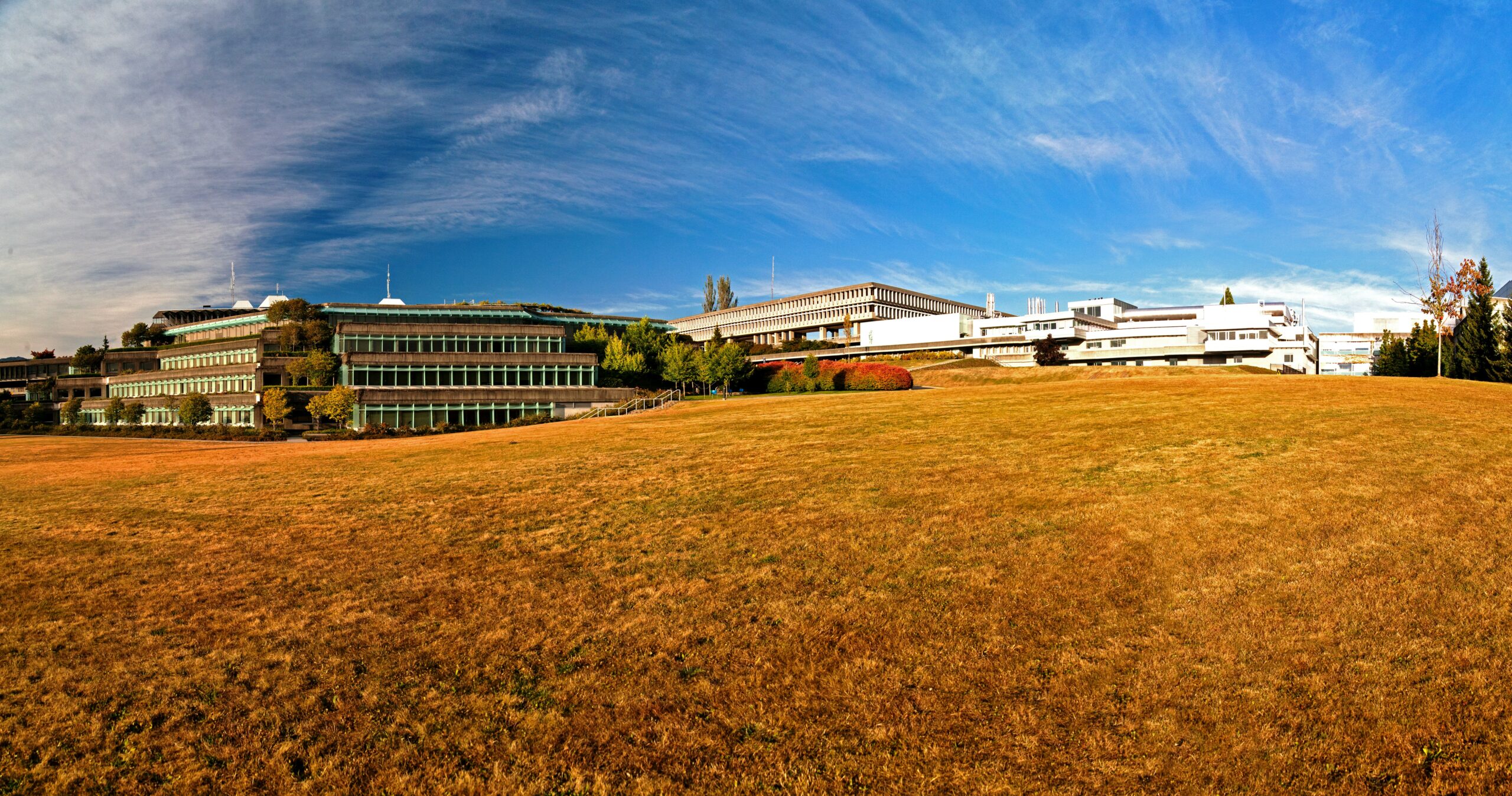 SFU Burnaby campus in the fall.