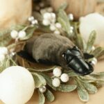 Chaotic problems require chaotic solutions Platypus toy surrounded by artificial mistletoe