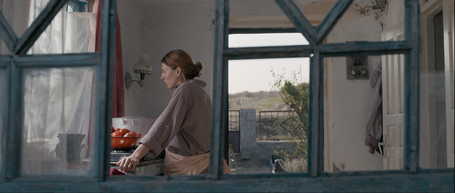 A woman with long hair tied back and a linen neutral colored shirt leans onto a kitchen counter, pensively looking down. The door is open and shows a wide open field outside.